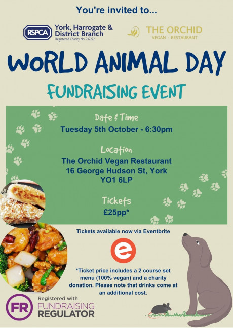 rspca-york-harrogate-district-branch-world-animal-day-fundraiser